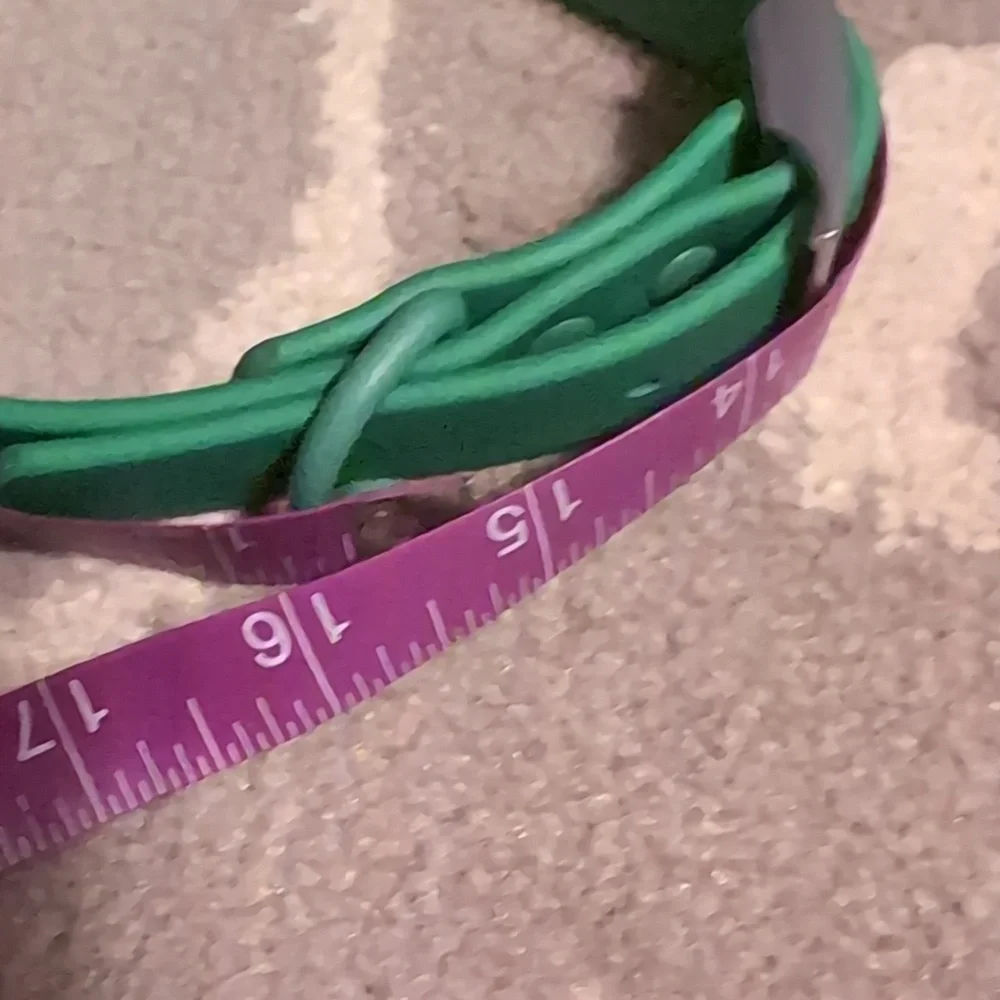 Wild One - Waterproof Dog Collar - M - Picture 6 of 6
